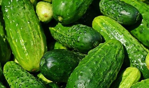 黄瓜农药爆料视频播放大全,视频爆料大全深度解析  第1张